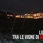 Luna (quasi) piena tra le vigne di Bertinoro Luna (quasi) piena tra le vigne di Bertinoro