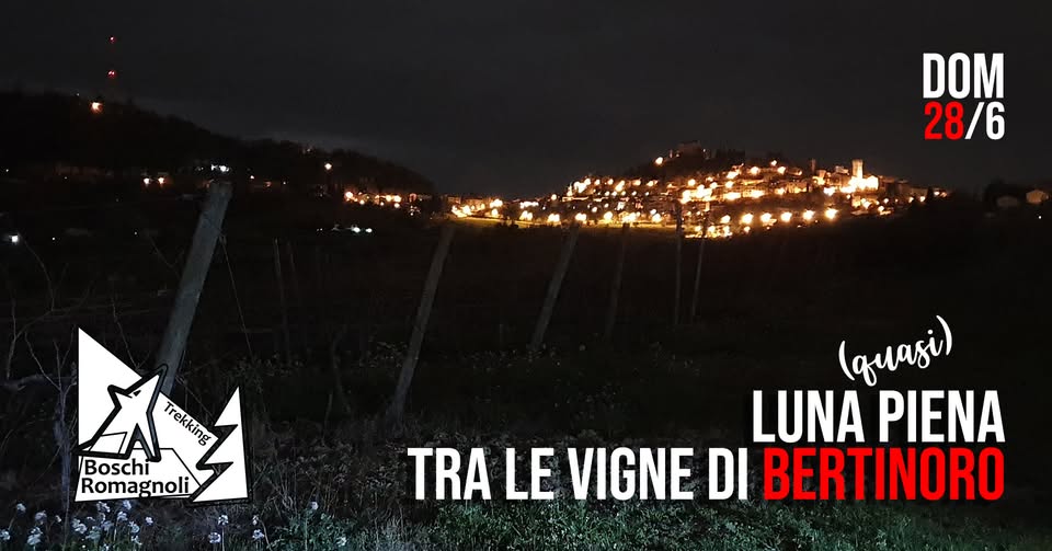 Evento Luna (quasi) piena tra le vigne di Bertinoro Locandina Luna (quasi) piena tra le vigne di Bertinoro - domenica 28 giugno ore 20:45 - 22:45