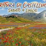 La fioritura di Castelluccio con Nomos Trek La fioritura di Castelluccio con Nomos Trek