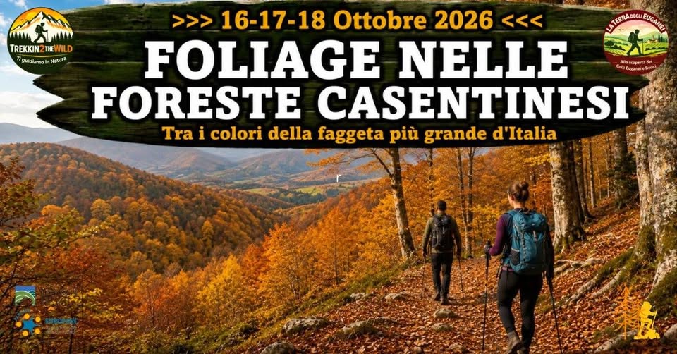 Evento Foliage nelle Foreste Casentinesi Locandina Foliage nelle Foreste Casentinesi - da venerdì 16 ottobre - domenica 18 ottobre 2026 ore 09:00 ore 15:00