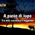 Immagine evento A passo di Lupo. Tra miti, curiosità e leggende a Firenzuola (FI) A passo di Lupo. Tra miti, curiosità e leggende a Firenzuola (FI) il 1 agosto 2026