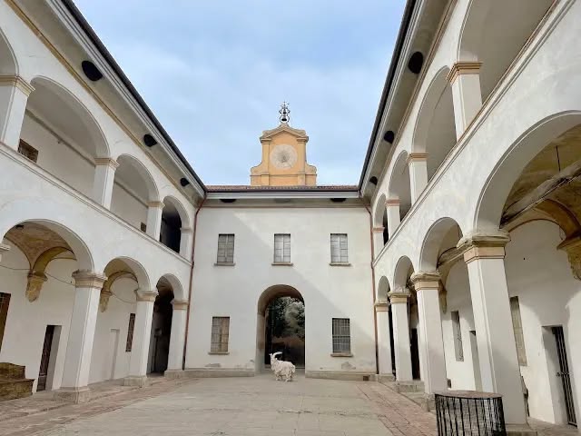 Evento Alla scoperta del Collegio Venturoli, un percorso esclusivo nel cuore di Bologna Locandina Alla scoperta del Collegio Venturoli, un percorso esclusivo nel cuore di Bologna - giovedì 9 luglio ore 18:00 - 20:00