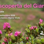 Immagine evento Alla scoperta del Giardino a Trento (TN) Alla scoperta del Giardino a Trento (TN) il 27 giugno giugno - 20 settembre 2026