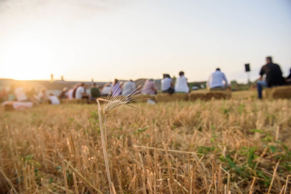 Evento All’alba in un campo di grano per costruire l’Arena delle balle Locandina All’alba in un campo di grano per costruire l’Arena delle balle - sabato 4 luglio ore 06:00 - 11:00