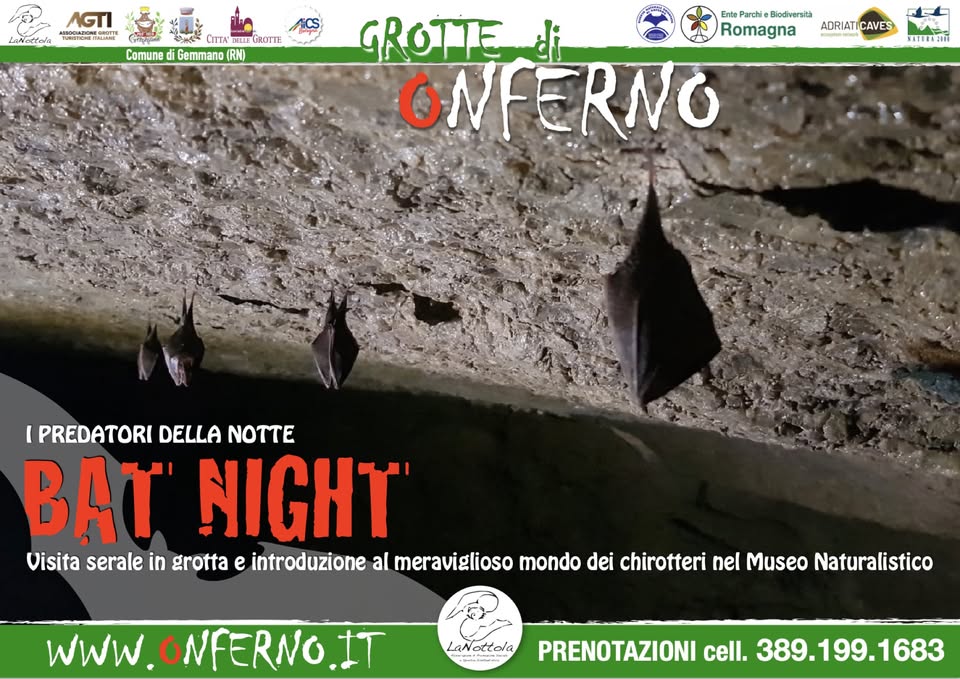 Evento Bat Night Locandina Bat Night - da giovedì 16 luglio - giovedì 27 agosto 2026 ore 19:00 ore 21:00