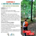 Immagine evento Campigna e l’Abetina del Granduca a Pratovecchio (AR) Campigna e l'Abetina del Granduca a Pratovecchio (AR) il 27 giugno giugno - 25 luglio 2026