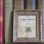 Immagine evento C’era una volta il libro XVIII ed. a Cesena (FC) C'era una volta il libro XVIII ed. a Cesena (FC) il 14 novembre - 15 novembre 2026