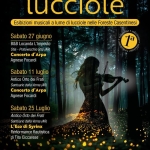 Concerto tra le Lucciole nelle Foreste Casentinesi – Esibizioni a Lume di Lucciola Concerto tra le Lucciole nelle Foreste Casentinesi – Esibizioni a Lume di Lucciola a Santa Sofia (FC) il 27 giugno giugno - 25 luglio 2026