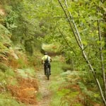 Immagine evento e – MTB Paesi dell’Alta Versilia a Seravezza (LU) e - MTB Paesi dell'Alta Versilia a Seravezza (LU) il 13 agosto 2026