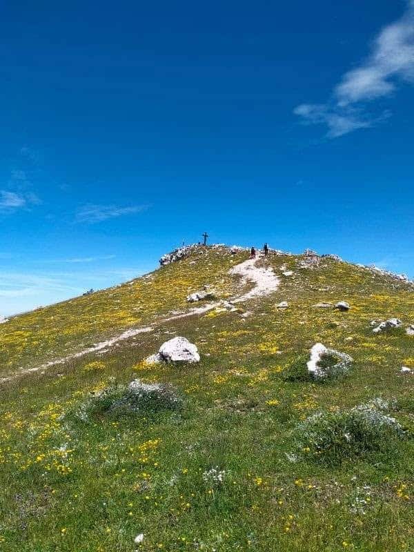 Evento Escursione a Monte Autore nel Parco M. Simbruini con Nomos trek Locandina Escursione a Monte Autore nel Parco M. Simbruini con Nomos trek - domenica 28 giugno ore 09:30 - 15:45