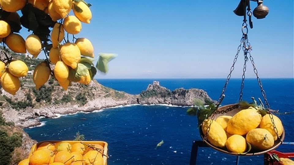 Evento Festa del Limone. Vietri sul Mare (SA) Locandina Festa del Limone. Vietri sul Mare (SA) - da venerdì 10 luglio - domenica 12 luglio 2026 ore 20:00 ore 23:59