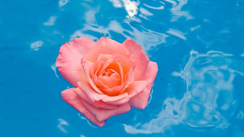 Evento I codici della rosa – ritiro alle Terme di Sorano GR Locandina I codici della rosa – ritiro alle Terme di Sorano GR - venerdì 2 ottobre ore 21:00 - 23:00