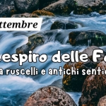 Immagine evento Il Respiro delle Fonti Tra ruscelli e antichi sentieri a Firenzuola (FI) Il Respiro delle Fonti Tra ruscelli e antichi sentieri a Firenzuola (FI) il 8 agosto 2026