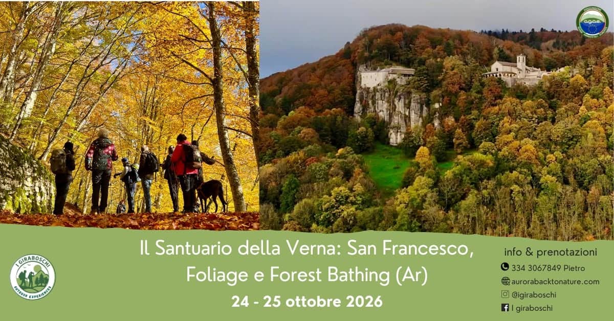 Evento Il Santuario della Verna San Francesco, Foliage e Forest Bathing (Ar) Locandina Il Santuario della Verna San Francesco, Foliage e Forest Bathing (Ar) - da sabato 24 ottobre - domenica 25 ottobre 2026 ore 10:00 ore 15:00