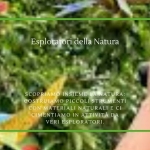 Laboratorio Naturalistico – Esploratori della Natura Laboratorio Naturalistico - Esploratori della Natura