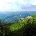 Immagine evento Le fioriture estive sul Monte Falco a Dillsboro Le fioriture estive sul Monte Falco a Dillsboro il 11 luglio 2026