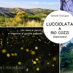 Lucciolata a Rio dei Cozzi Lucciolata a Rio dei Cozzi a Castrocaro Terme e Terra del Sole (FC) il 12 giugno 2026