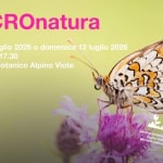 Immagine evento MACROnatura a Trento (TN) MACROnatura a Trento (TN) il 11 luglio 2026
