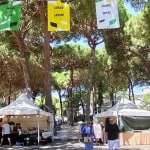 Immagine evento MiMa Vintage Market a Traversa (FI) MiMa Vintage Market a Traversa (FI) il 11 luglio - 12 luglio 2026
