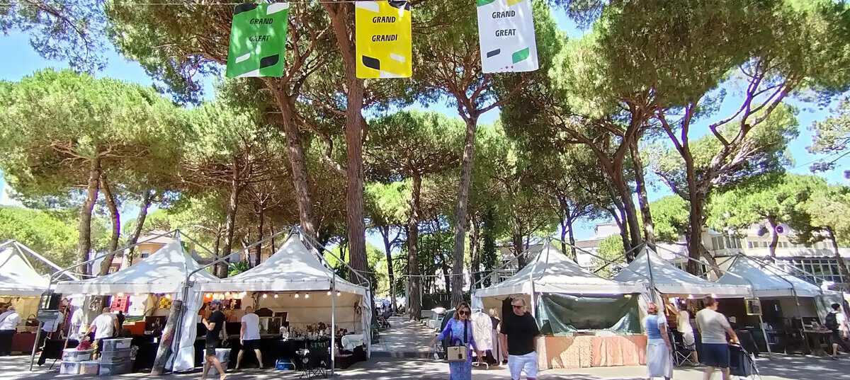 Evento MiMa Vintage Market Locandina MiMa Vintage Market - da sabato 11 luglio - domenica 12 luglio 2026 ore 17:00 ore 23:45