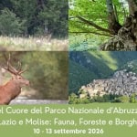 Immagine evento Nel cuore del Parco Nazionale d’Abruzzo, Lazio e Molise Fauna, Foreste e Borghi Nel cuore del Parco Nazionale d'Abruzzo, Lazio e Molise Fauna, Foreste e Borghi