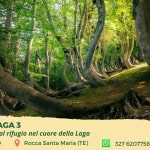 Immagine evento Pianeta Laga 3 – Notti d’estate al Rifugio nel cuore della Laga a Ceppo (SP) Pianeta Laga 3 - Notti d'estate al Rifugio nel cuore della Laga a Ceppo (SP) il 27 giugno - 29 giugno 2026