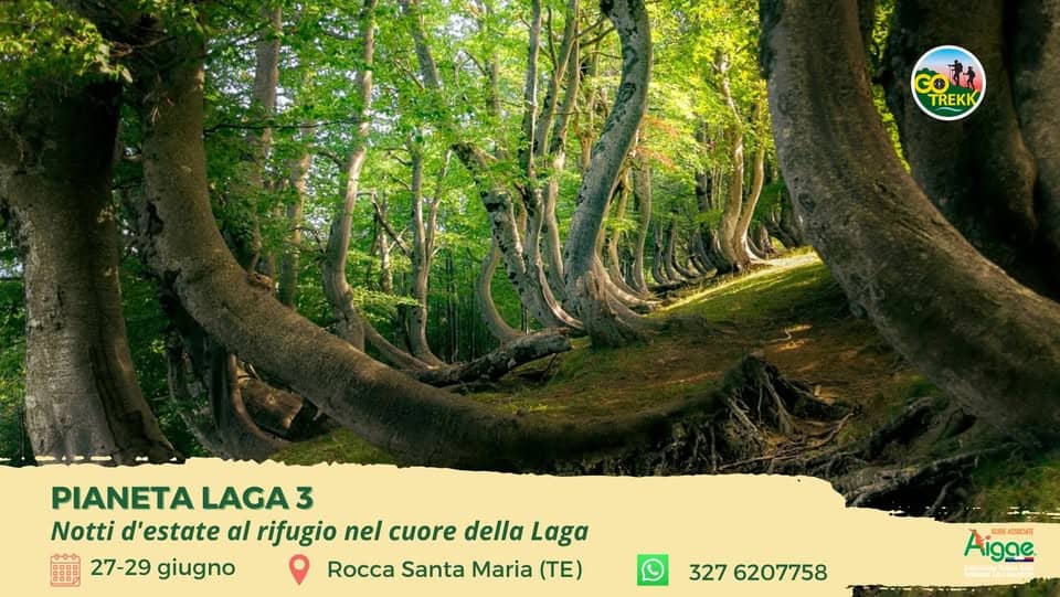 Evento Pianeta Laga 3 – Notti d’estate al Rifugio nel cuore della Laga Locandina Pianeta Laga 3 – Notti d’estate al Rifugio nel cuore della Laga - da sabato 27 giugno - lunedì 29 giugno 2026 ore 09:30 ore 16:00