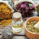 Immagine evento Presentazione dei corsi di Erboristeria, Aromaterapia, Cosmesi Vegetale, Oleoliti a Paderno Dugnano (MI) Presentazione dei corsi di Erboristeria, Aromaterapia, Cosmesi Vegetale, Oleoliti a Paderno Dugnano (MI) il 26 settembre 2026