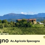 Serenate in Vigna – Nord Serenate in Vigna - Nord