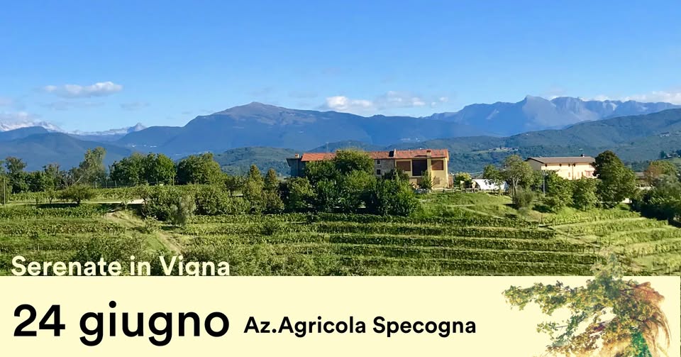 Evento Serenate in Vigna – Nord Locandina Serenate in Vigna – Nord - mercoledì 24 giugno ore 21:00 - 23:00