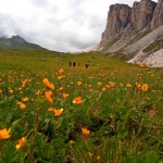 Tra il Pelmo e Mondeval Tra il Pelmo e Mondeval a Val di Zoldo (BL) il 26 luglio 2026