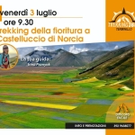Trekking della fioritura a Castelluccio di Norcia a Norcia (PG) il 3 luglio 2026