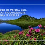 Immagine evento Trekking in tenda sul Lagorai rododendri, luna e stelle a Tesero (TN) Trekking in tenda sul Lagorai rododendri, luna e stelle a Tesero (TN) il 4 luglio - 5 luglio 2026