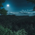 Immagine evento Una notte al Giardino a Santa Sofia (FC) Una notte al Giardino a Santa Sofia (FC) il 20 giugno giugno - 4 luglio 2026