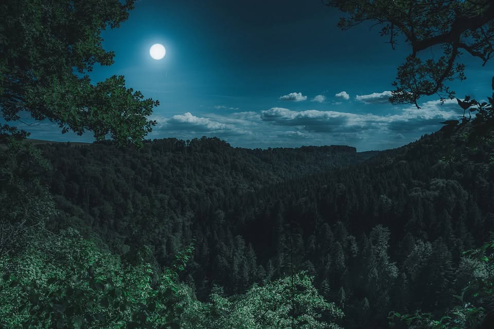Evento Una notte al Giardino Locandina Una notte al Giardino - da sabato 20 giugno - sabato 4 luglio 2026 ore 21:30 ore 23:00
