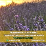 Immagine evento Veneto Tramonto e Lavanda trekking e Cena alla Ferraretta Bianca a Tregnago (VR) Veneto Tramonto e Lavanda trekking e Cena alla Ferraretta Bianca a Tregnago (VR) il 3 luglio 2026