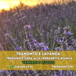 Immagine evento Veneto Tramonto e Lavanda trekking e Cena alla Ferraretta Bianca a Tregnago (VR) Veneto Tramonto e Lavanda trekking e Cena alla Ferraretta Bianca a Tregnago (VR) il 3 luglio 2026