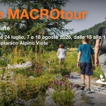 Immagine evento Viote MACROtour a Trento (TN) Viote MACROtour a Trento (TN) il 18 giugno giugno - 18 agosto 2026