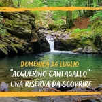 Immagine evento “Acquerino Cantagallo” Una Riserva Da Scorpire a Cantagallo (PO) "Acquerino Cantagallo" Una Riserva Da Scorpire a Cantagallo (PO) il 26 luglio 2026