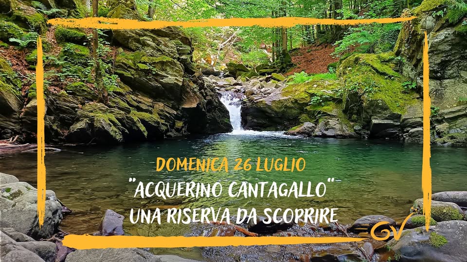 Evento “Acquerino Cantagallo” Una Riserva Da Scorpire Locandina “Acquerino Cantagallo” Una Riserva Da Scorpire - domenica 26 luglio ore 09:30 - 18:30
