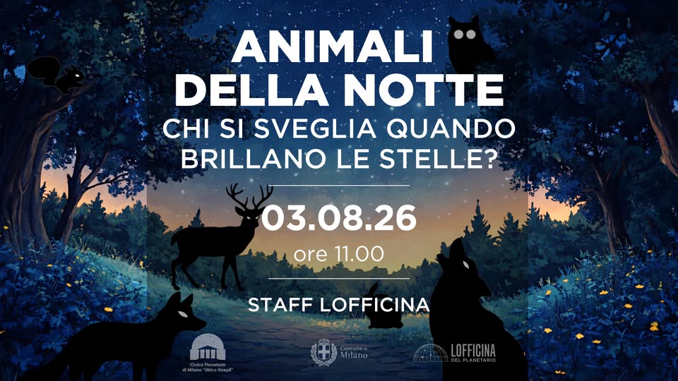 Evento Animali Della Notte Chi Si Sveglia Quando Brillano Le Stelle? Locandina Animali Della Notte Chi Si Sveglia Quando Brillano Le Stelle? - lunedì 3 agosto ore 11:00 - 13:00