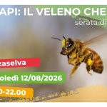 Immagine evento Api il veleno che cura a Roana (VI) Api il veleno che cura a Roana (VI) il 12 agosto 2026
