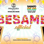Immagine evento BESAME @Primavera Beach a Rosolina (RO) BESAME @Primavera Beach a Rosolina (RO) il 8 agosto 2026