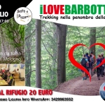Immagine evento Bosco della Barbottina trekking con cena al Rifugio a Calizzano (SV) Bosco della Barbottina trekking con cena al Rifugio a Calizzano (SV) il 18 luglio 2026
