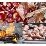 Immagine evento Castagne fuoco e magia calore e tradizione in un essiccatoio dell’appennino a Bosco di Corniglio (PR) Castagne fuoco e magia calore e tradizione in un essiccatoio dell'appennino a Bosco di Corniglio (PR) il 1 novembre 2026