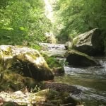 Immagine evento Chiare, Fresche e Dolci Acque del Farfa a Farfa (RI) Chiare, Fresche e Dolci Acque del Farfa a Farfa (RI) il 5 luglio 2026