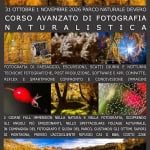 Immagine evento Corso di fotografia Naturalistica Colore e – o BN – Parco Naturale Devero a Alpe Devero (VB) Corso di fotografia Naturalistica Colore e - o BN - Parco Naturale Devero a Alpe Devero (VB) il 31 ottobre ottobre - 1 novembre 2026