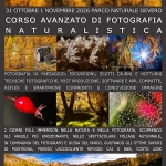 Immagine evento Corso di fotografia Naturalistica Colore e – o BN – Parco Naturale Devero a Alpe Devero (VB) Corso di fotografia Naturalistica Colore e - o BN - Parco Naturale Devero a Alpe Devero (VB) il 31 ottobre ottobre - 1 novembre 2026
