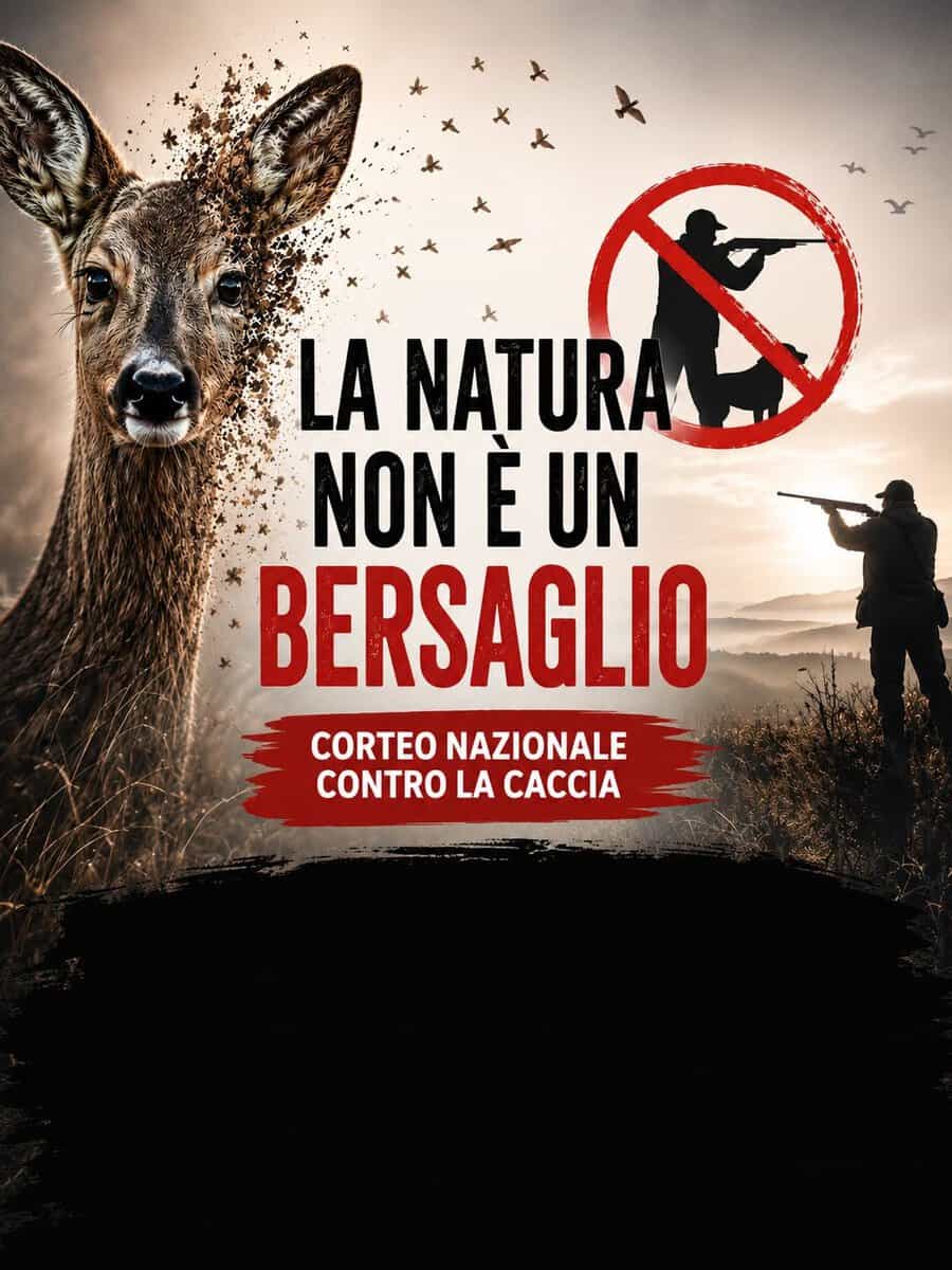 Evento Corteo Nazionale Contro La Caccia; Il Nuovo Ddl, Questo Governo E Regione Lombardia Locandina Corteo Nazionale Contro La Caccia; Il Nuovo Ddl, Questo Governo E Regione Lombardia - sabato 19 settembre ore 14:00 - 16:00