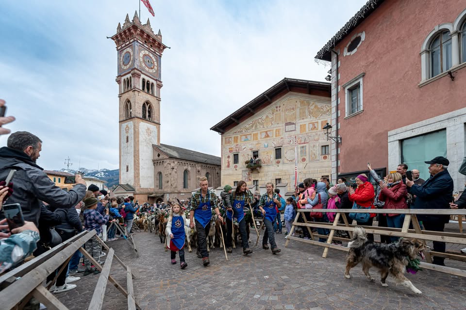 Evento Desmontegada de le Caore Locandina Desmontegada de le Caore - da venerdì 11 settembre - domenica 13 settembre 2026 ore 13:00 ore 20:00